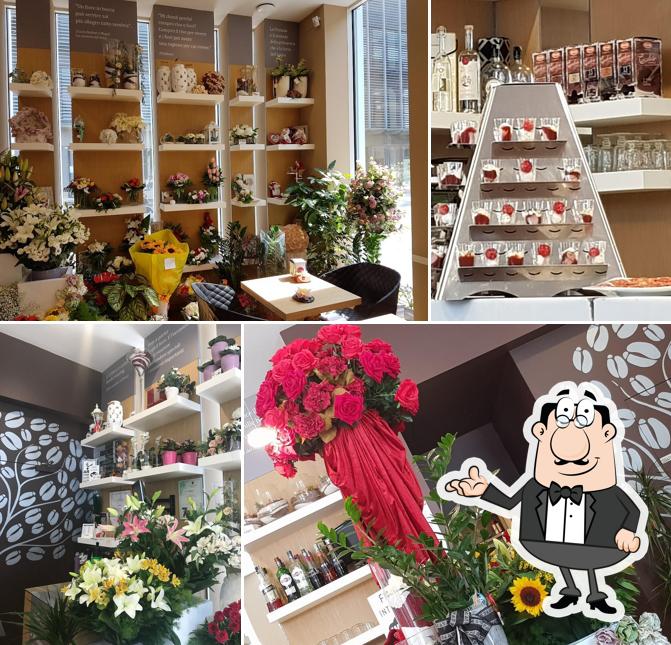 La Primula Flowers & Coffee