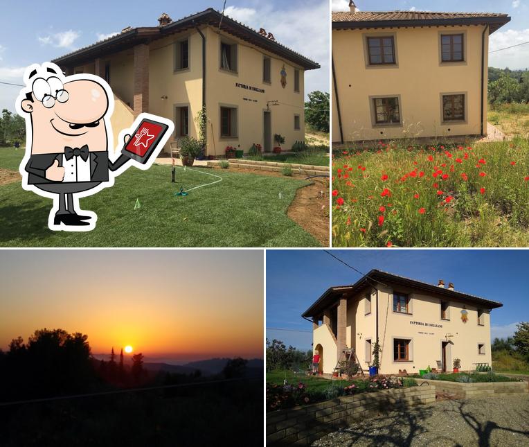 Podere dell'Alloro
