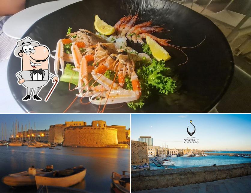 Dai un’occhiata alla foto che mostra la esterno e cibo di Yellow Scapece