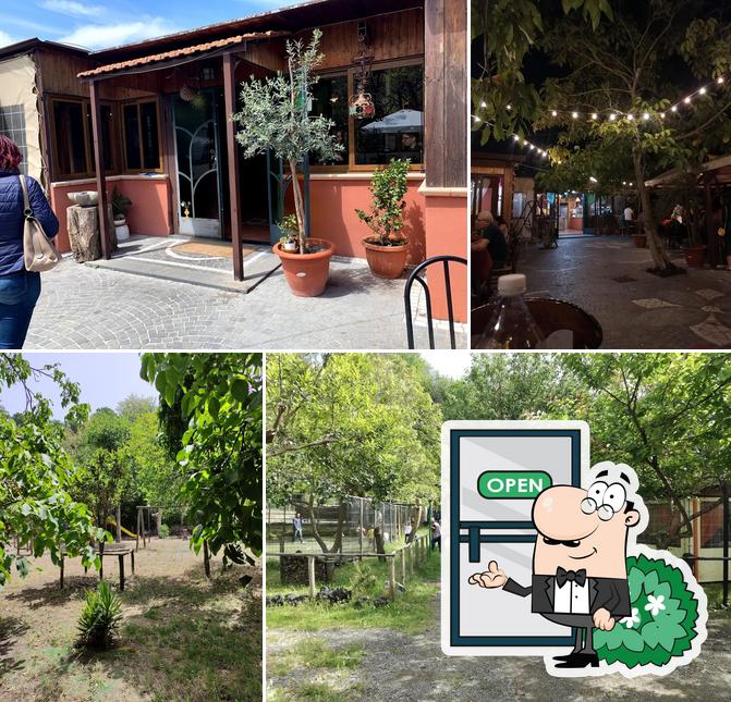 Agriturismo Antico Ricupo