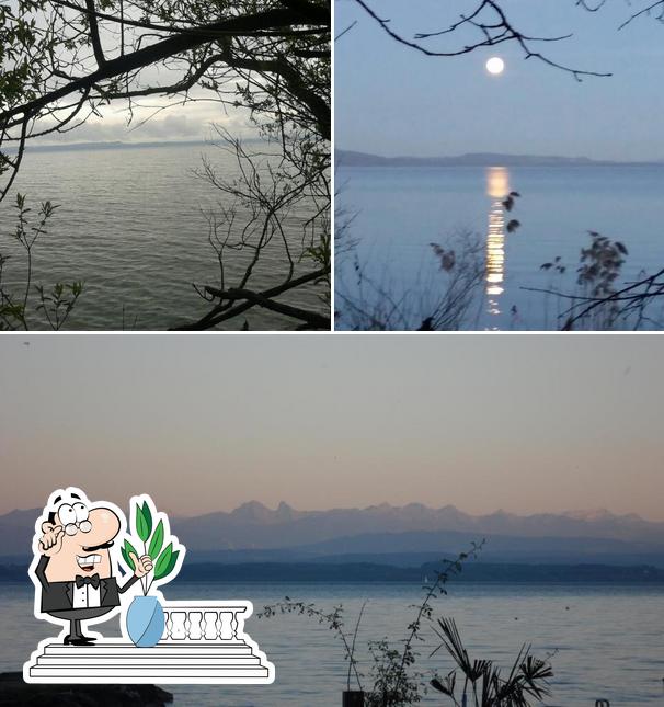 Chalet Petit Robinson