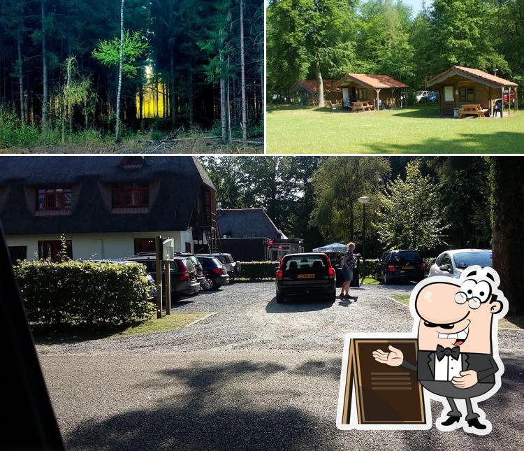 Profitez de la vue de l'espace ouvert de Boscamping Appelscha