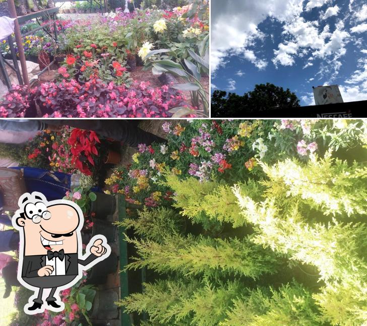 You can get some fresh air at the outside area of Nescafe