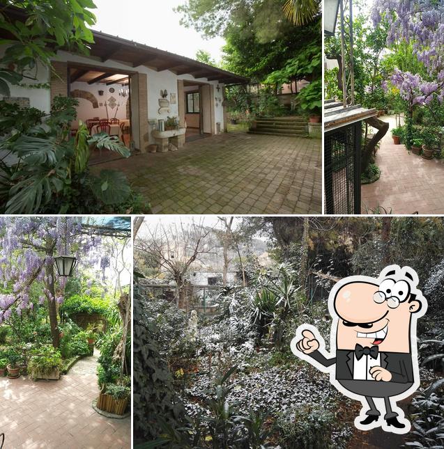 Goditi la vista dall'area esterna di Antica Trattoria Innarone