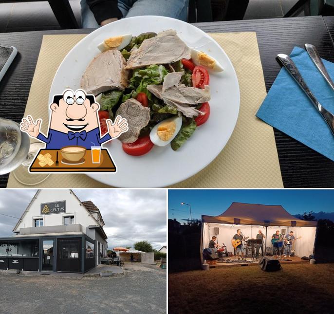 le celtys