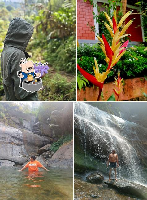 Thusharagiri HERITAGE Resorts