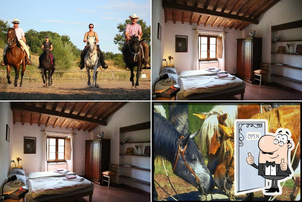 Guarda la foto di Agriturismo Il Cornacchino