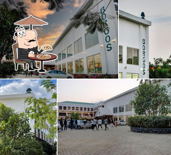 BORGOS The Wild Valley Dhansiri