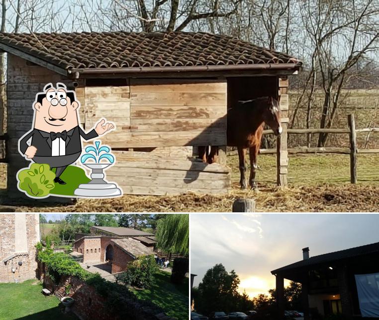 Puoi goderti l'aria fresca dal dehors di Cascina Sant'Ambrogio