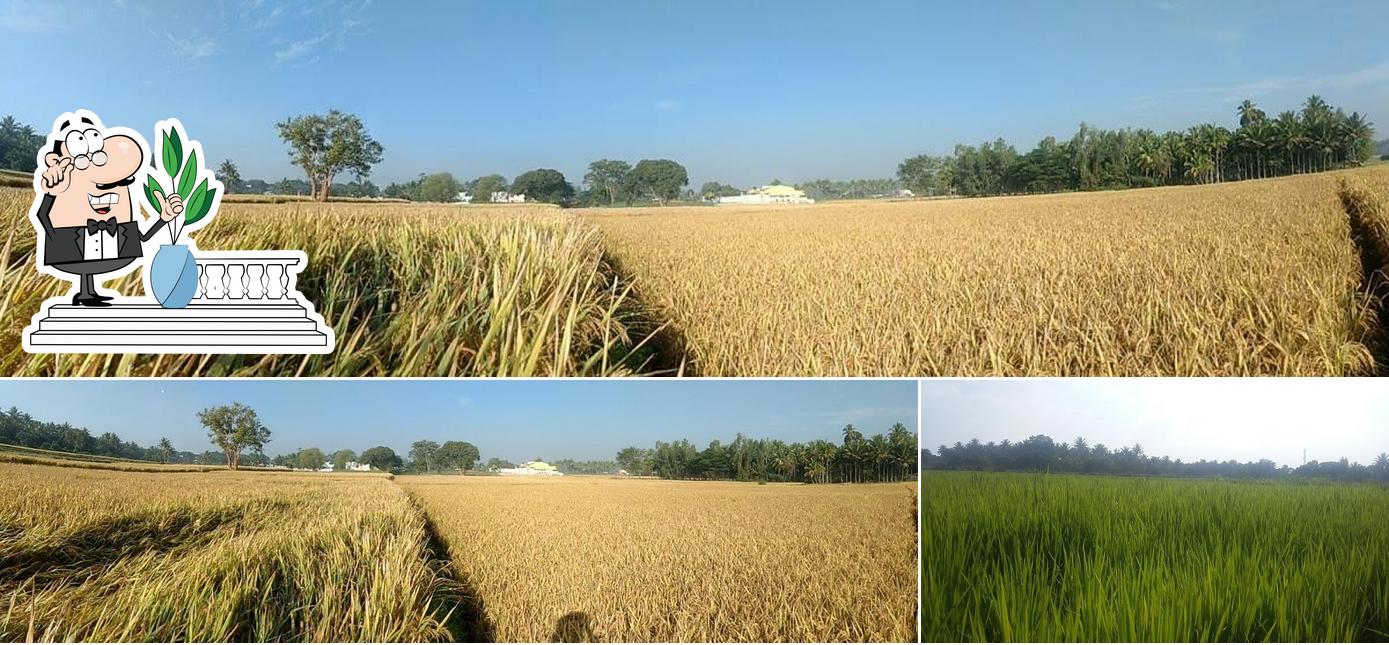 The exterior of Samyuktha