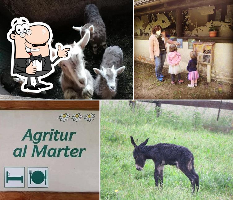 Agritur Al Marter