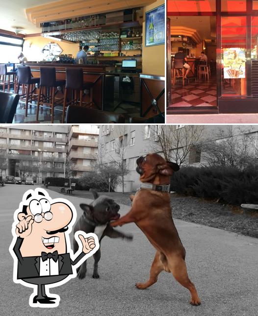 Dai un’occhiata alla immagine che mostra la interni e esterno di Caffe Bar Bonaca