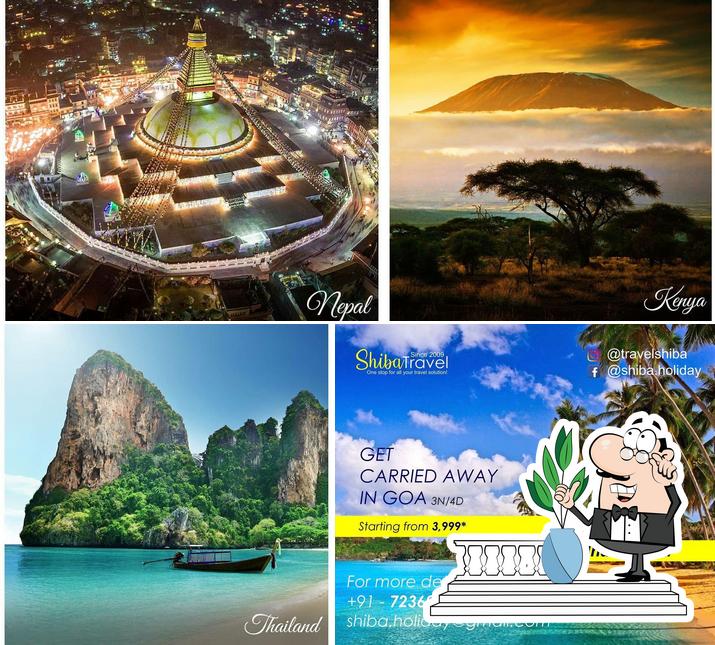 Check out how Shiba Travel looks outside