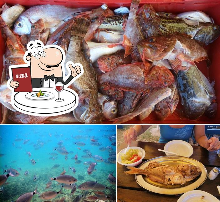 Cibo al Mala Luka