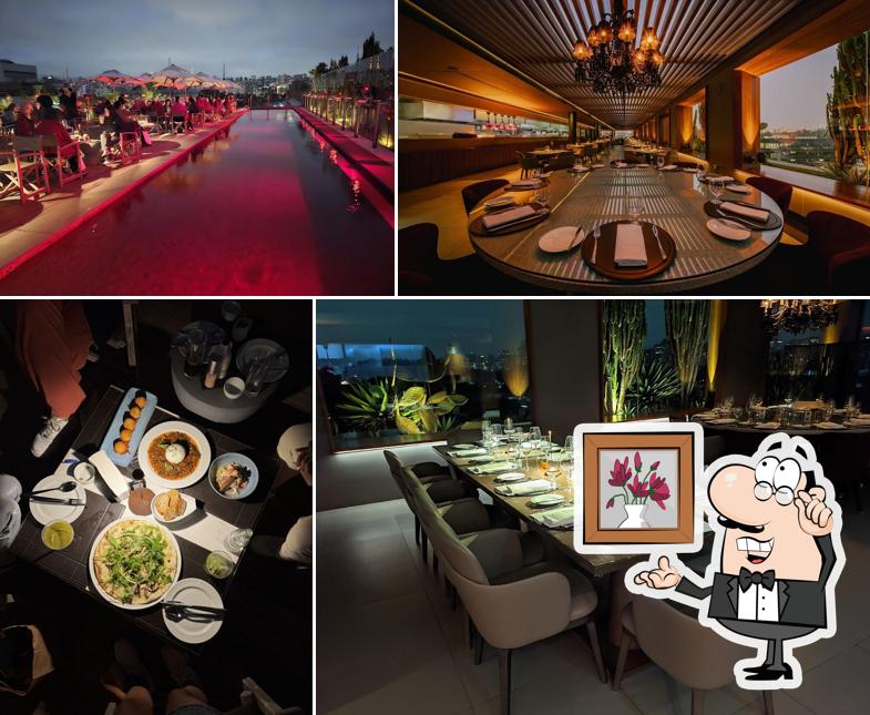 Veja imagens do interior do Skye