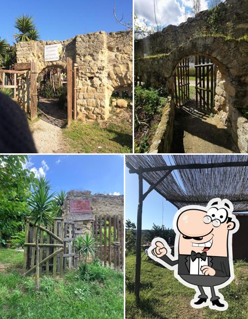 Gli esterni di Agriturismo Cantine dell'Averno