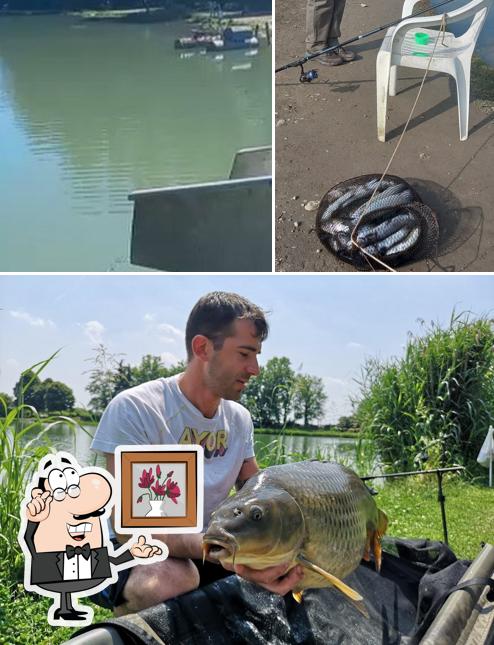 Gli interni di Laghi Verdi New Era