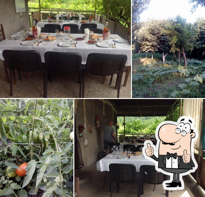 მარინას სახლი / Marina's house