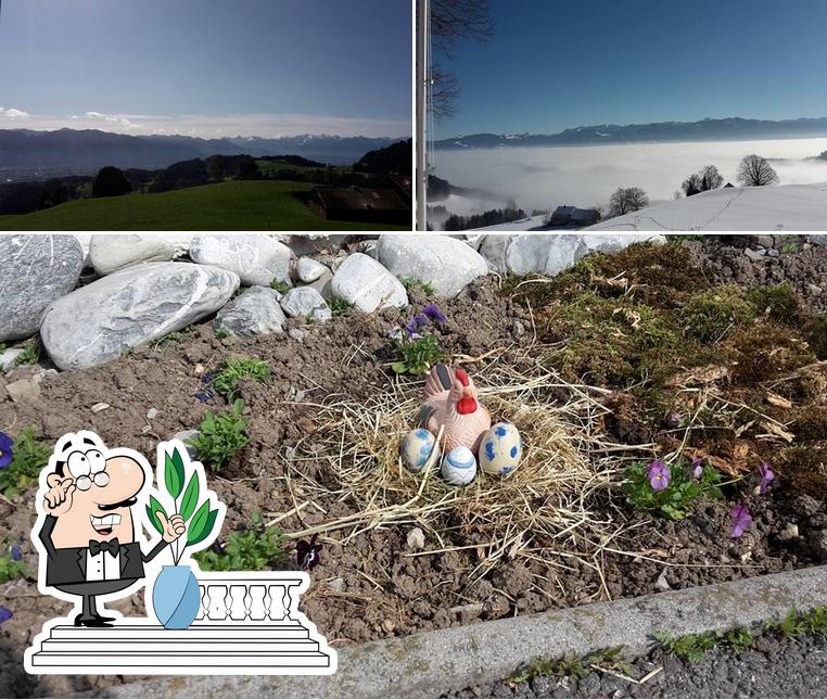 Rest. Sonne Blatten Oberegg