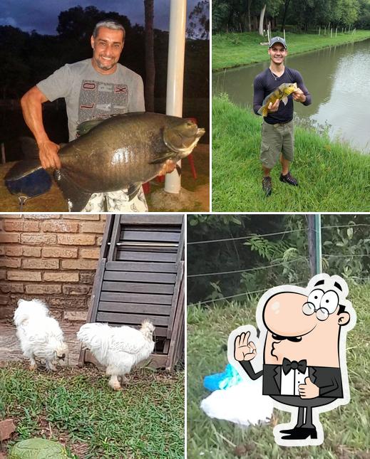 Pesqueiro e Restaurante Tozzi