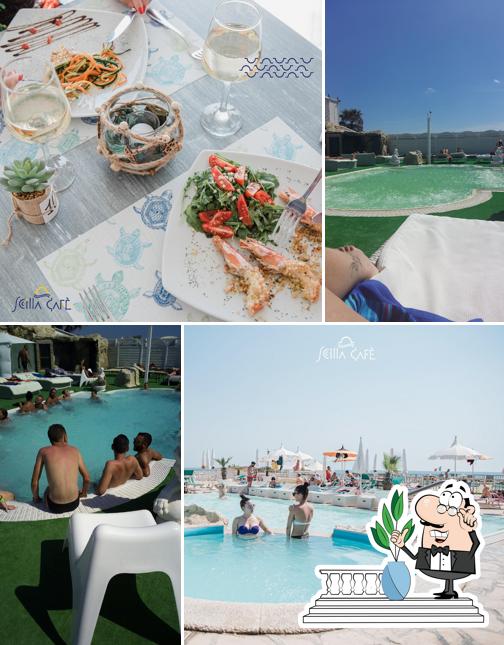 Puoi goderti l'aria fresca dal dehors di Scilla Cafè