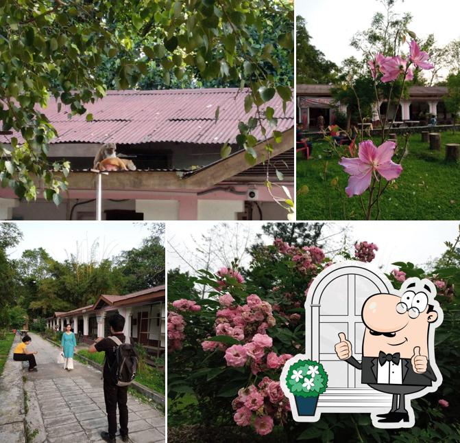 Check out how Amenityyy looks outside