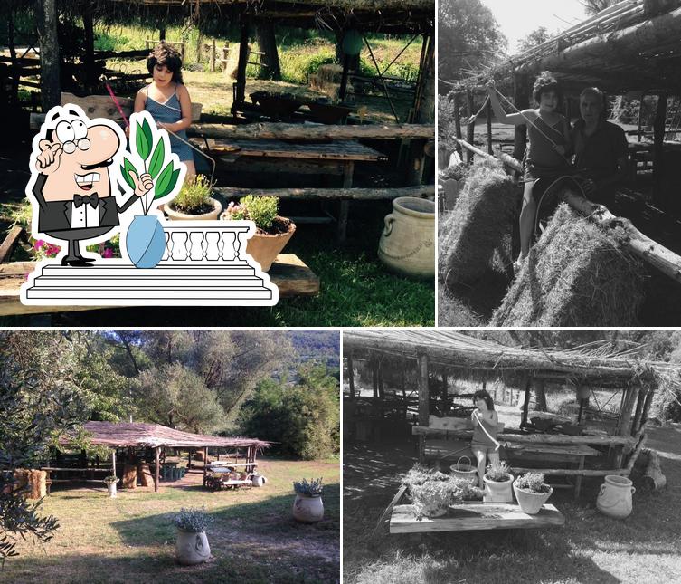 Gli esterni di Azienda Agrituristica Zucchegni