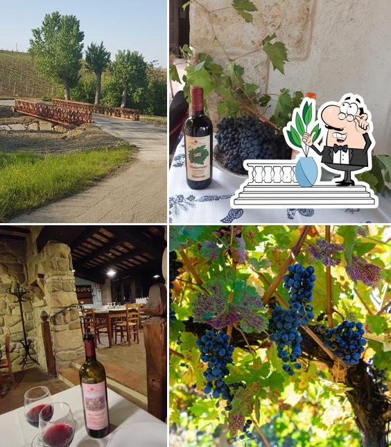 Agriturismo San Rocco