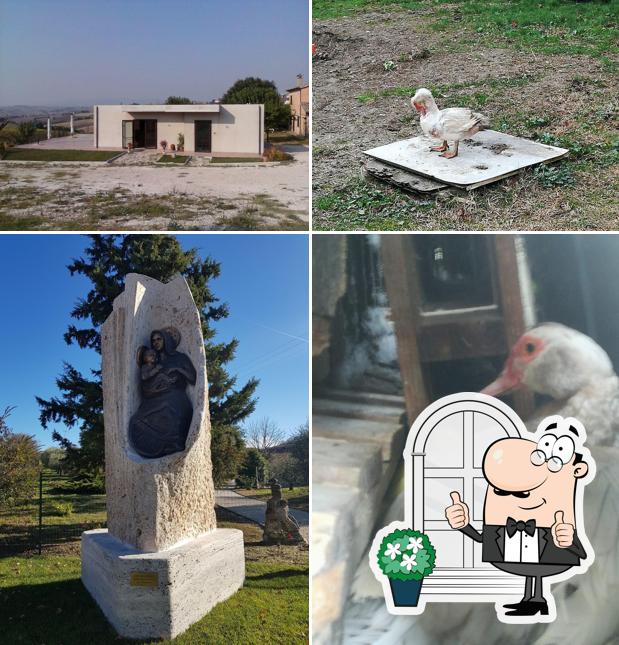 Guarda gli esterni di Agriturismo