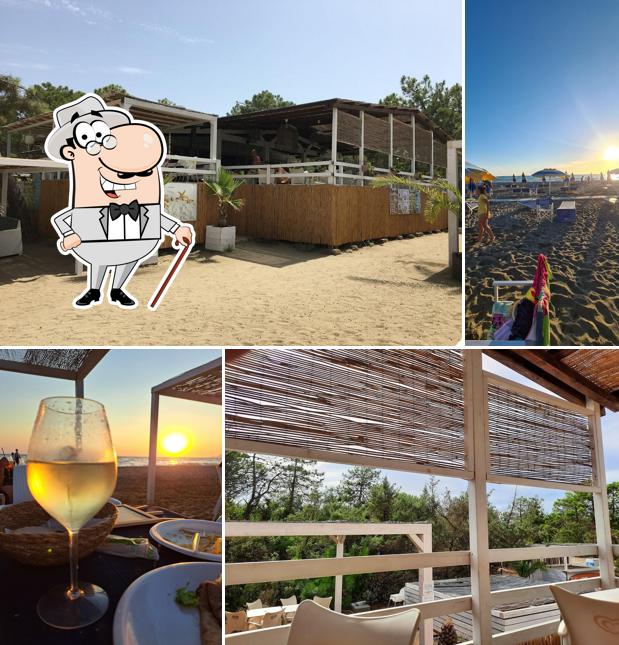 Puoi goderti l'aria fresca da seduto all'esterno di Delfinus Beach Bar