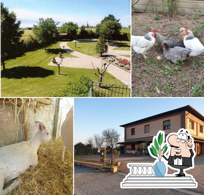 Pizzeria Ristorante Villa Gaia - Parco Divertimenti - Fattoria