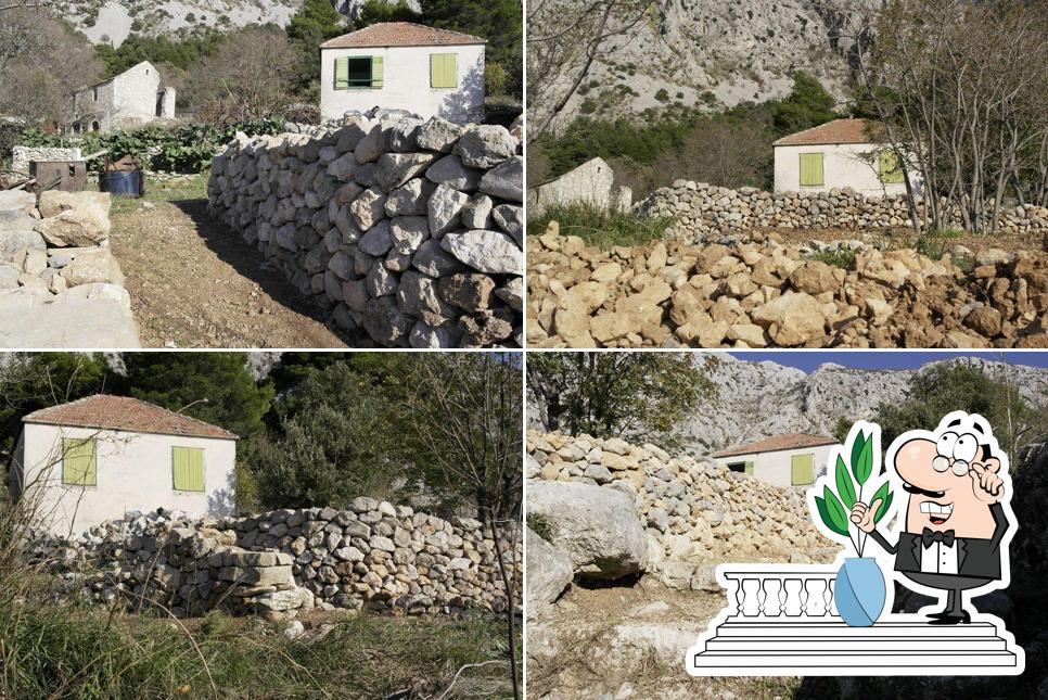 Music Bar " Boss II "