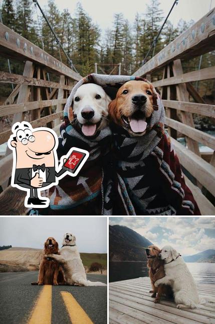 See this pic of Vovó Vegana