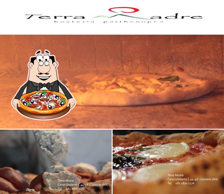 Terra Madre