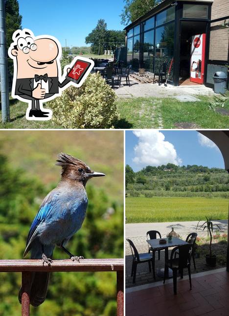 Vedi la immagine di Bar la Ghiandaia