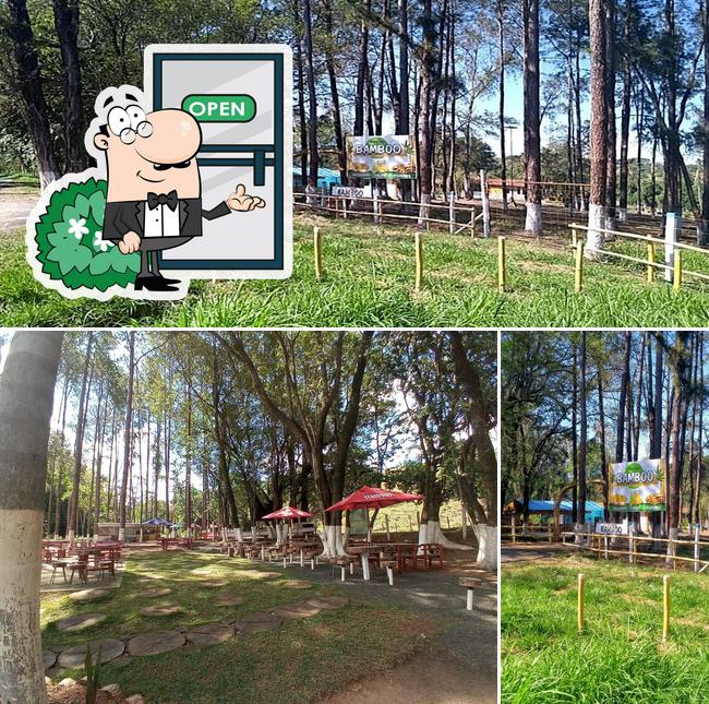 Rancho bamboo