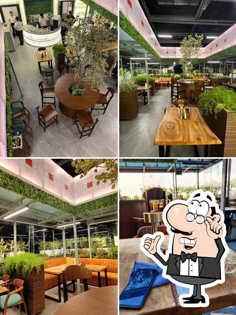 The Serra Rooftop Cafe