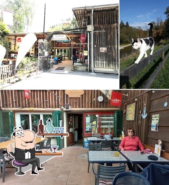 Dai un'occhiata agli interni di SenseMare