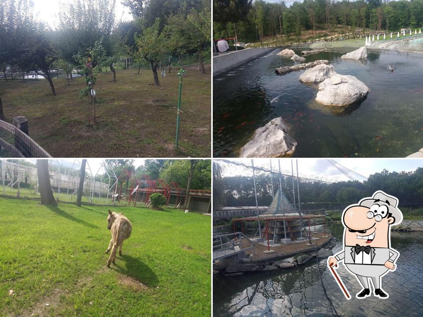 Puoi goderti l'aria fresca dal dehors di FORTEPARK