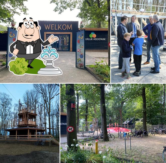 Natuurlijk Heidepark - klimmen, spelen en zwemmen