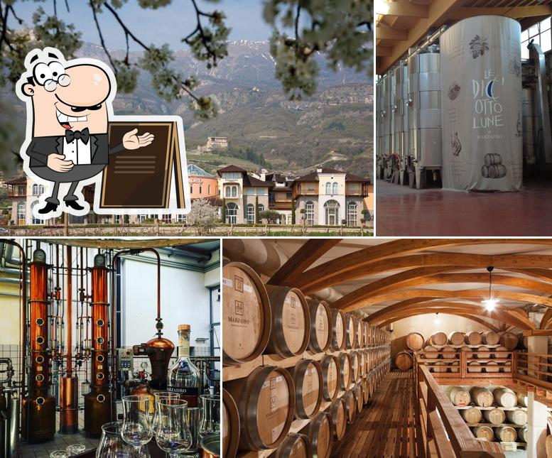 Gli esterni di Distilleria Marzadro