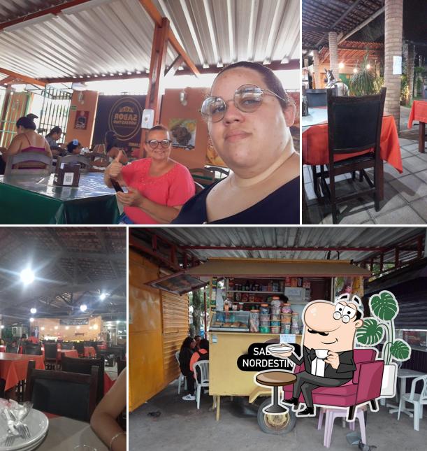 Sabor Nordestino - Salvador lyra