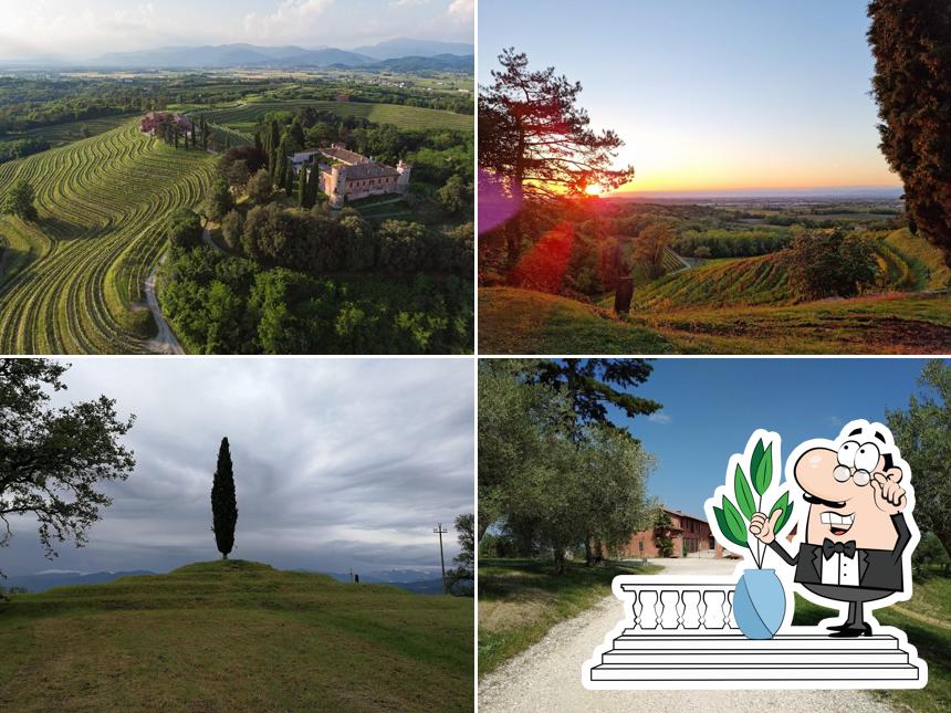 Rocca Bernarda - Terre dei Cavalieri