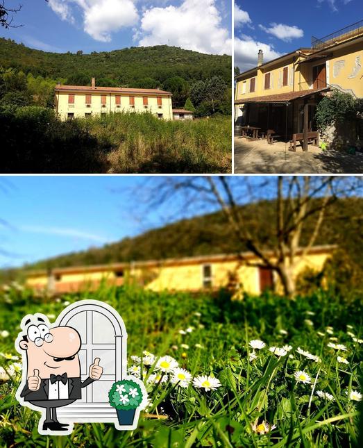 Gli esterni di Le Pecore Gialle
