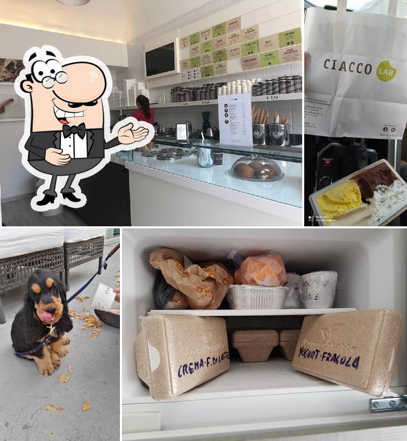 Vedi la foto di Ciacco. Gelato senz'altro