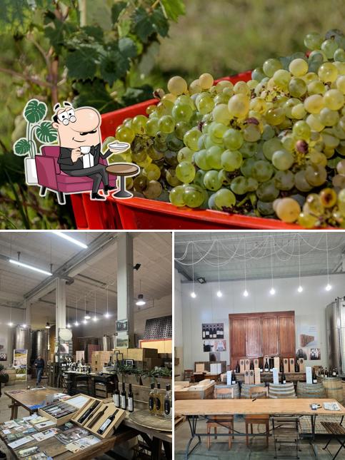 Questa è la foto che raffigura la interni e cibo di Ezio Poggio Winery