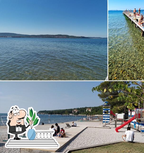 Gli esterni di Ribičeva kantina