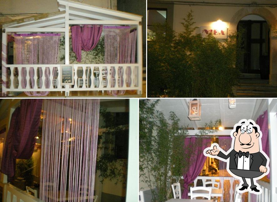 Vida Loungebar