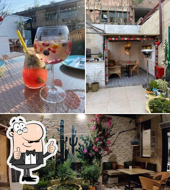 See the photo of Wild Thyme