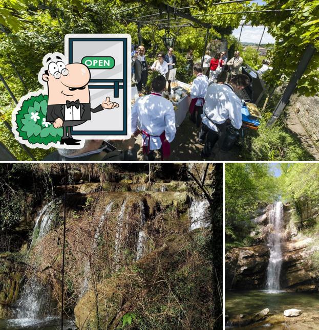 Goditi la vista dagli esterni di La Bottega di Castagneto